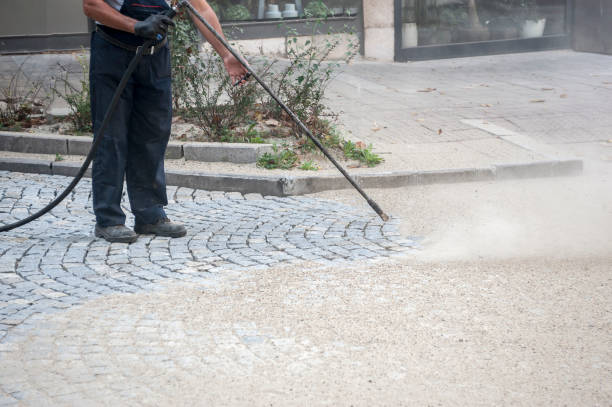 Best Dumpster Area Cleaning  in Bee Ridge, FL
